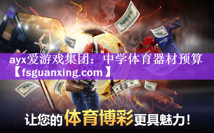 ayx爱游戏集团：中学体育器材预算